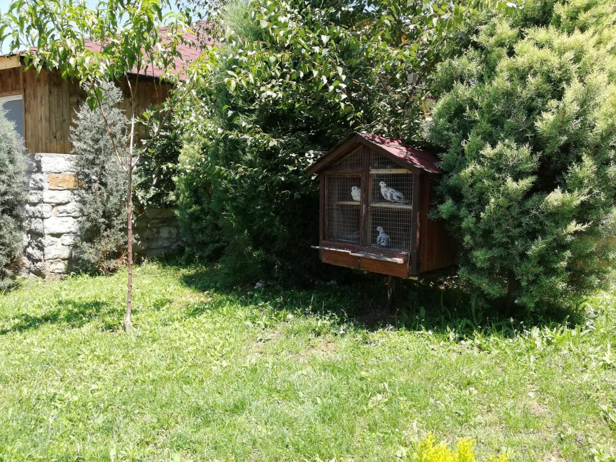 My House 2* Kurdzhali